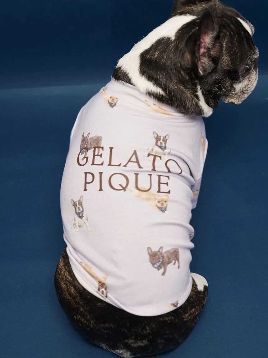 gelato pique(ジェラートピケ)【CAT&DOG】【販路限定商品】フレンチブルドッグ柄カットソープルオーバー|全2色