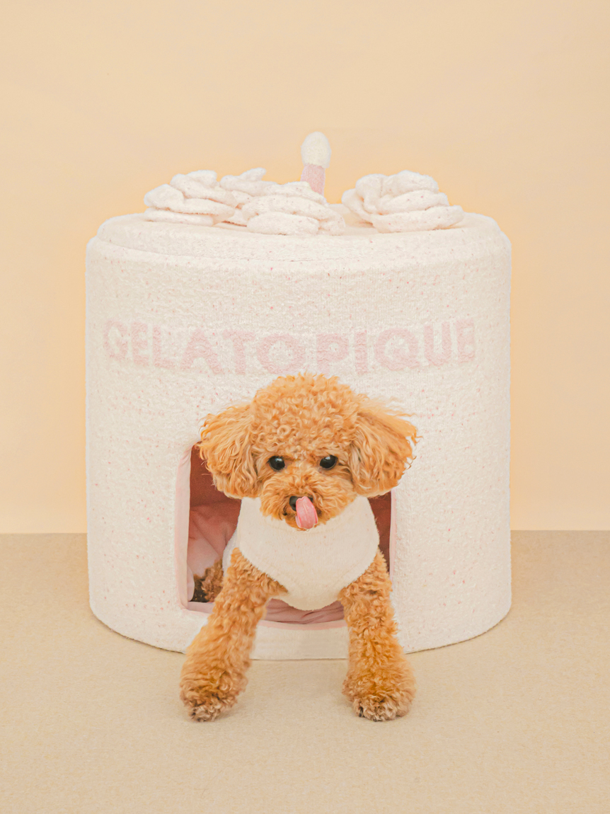 gelato pique（ジェラートピケ）【CAT&DOG】【販路限定商品】スムーズィーケーキハウス