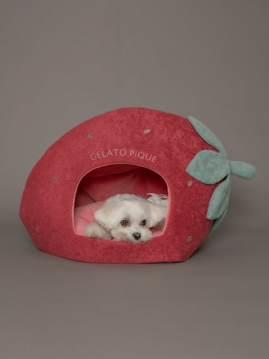 gelato pique（ジェラートピケ）【CAT&DOG】【販路限定商品】スムーズィー ストロベリーハウス