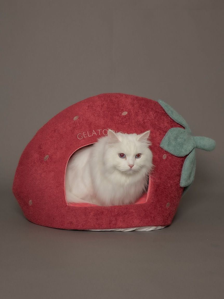 gelato pique（ジェラートピケ）【CAT&DOG】【販路限定商品 