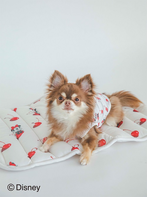gelato pique（ジェラートピケ）【CAT&DOG】【販路限定商品】Minnie/COOLマット｜全2色