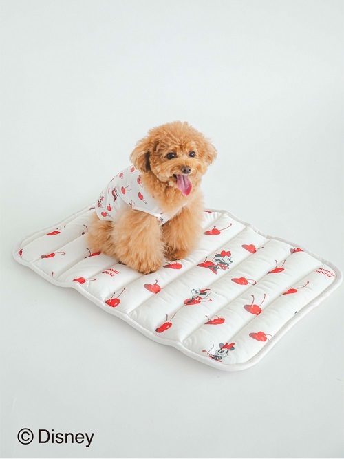 ggelato pique（ジェラートピケ）【CAT&DOG】【販路限定商品】Minnie/COOLマット｜全2色