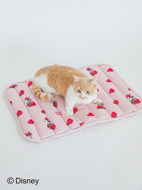 gelato pique（ジェラートピケ）【CAT&DOG】【販路限定商品