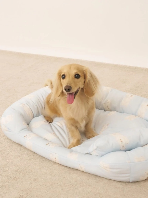 gelato pique（ジェラートピケ）【CAT&DOG】【販路限定商品】シロクマ柄COOLINGベッド Mサイズ