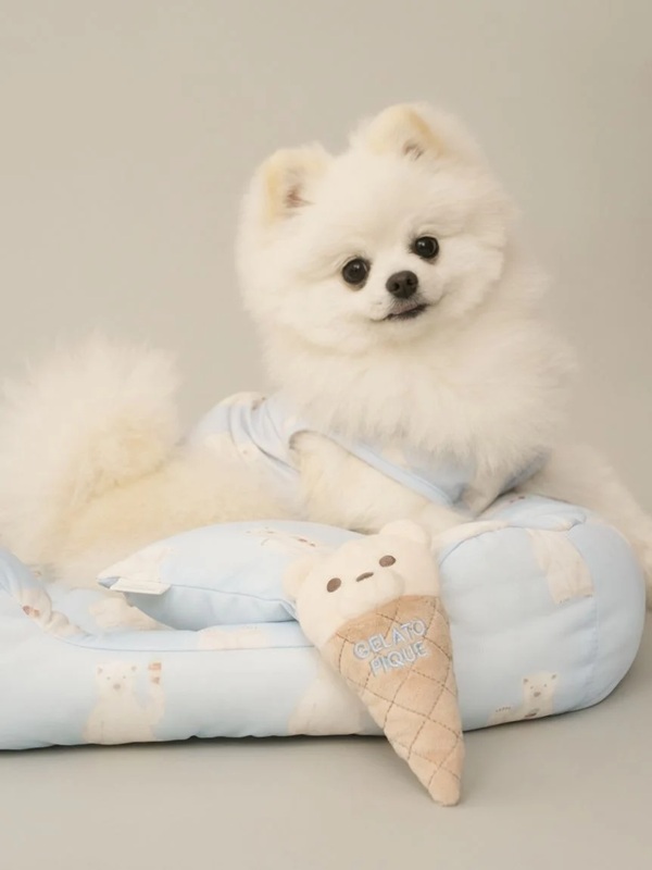 gelato pique（ジェラートピケ）【CAT&DOG】【販路限定商品