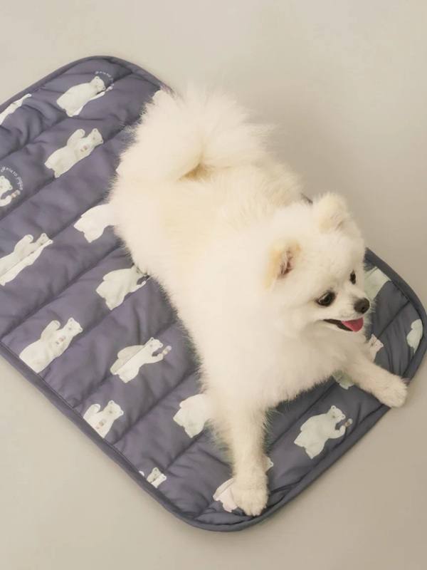 gelato pique（ジェラートピケ）【CAT&DOG】【販路限定商品】シロクマ柄COOLINGマット