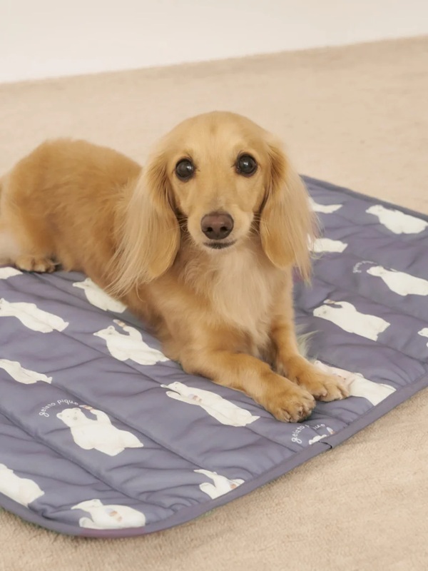 gelato pique（ジェラートピケ）【CAT&DOG】【販路限定商品】シロクマ柄COOLINGマット