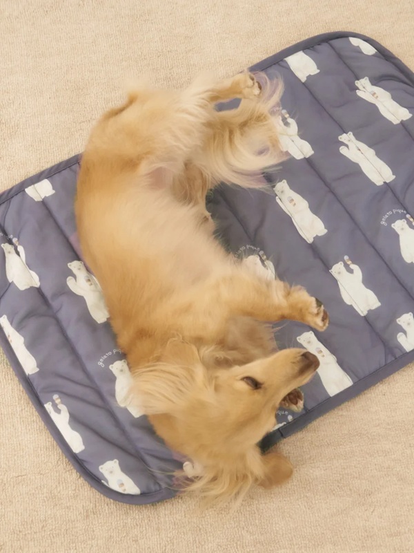 gelato pique（ジェラートピケ）【CAT&DOG】【販路限定商品】シロクマ柄COOLINGマット