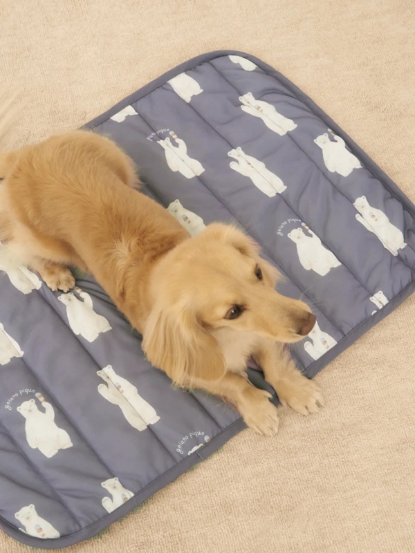 gelato pique（ジェラートピケ）【CAT&DOG】【販路限定商品】シロクマ柄COOLINGマット