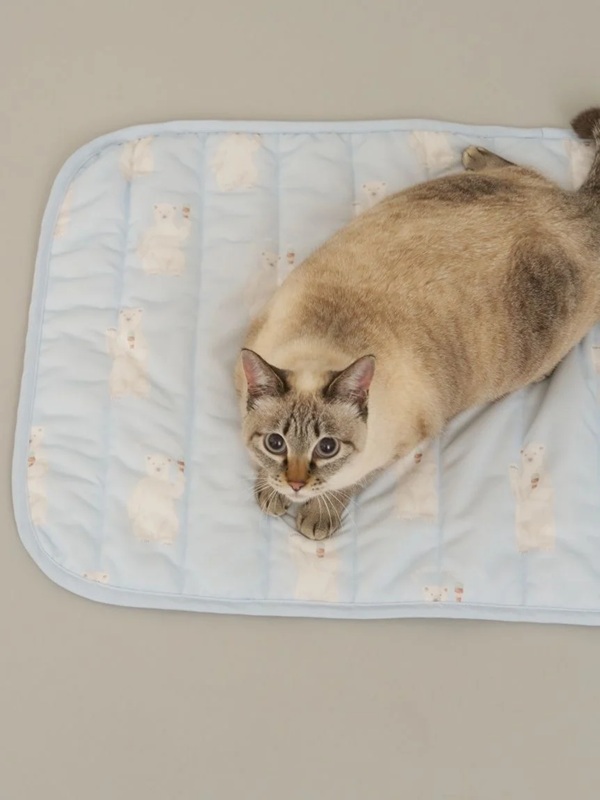 gelato pique（ジェラートピケ）【CAT&DOG】【販路限定商品】シロクマ柄COOLINGマット