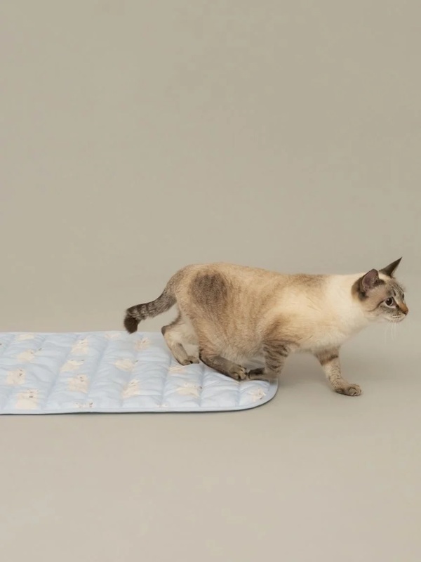 gelato pique（ジェラートピケ）【CAT&DOG】【販路限定商品】シロクマ柄COOLINGマット