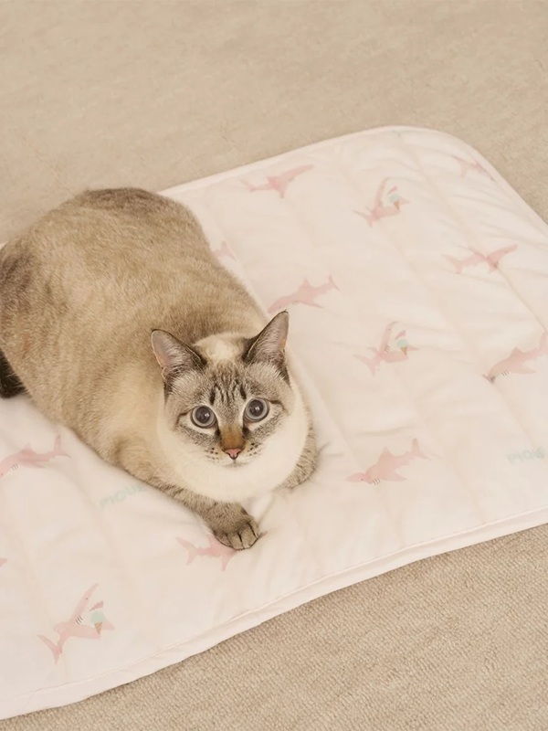gelato pique（ジェラートピケ）【CAT&DOG】【販路限定商品】【接触冷感】SHARK柄COOLINGマット｜全2色