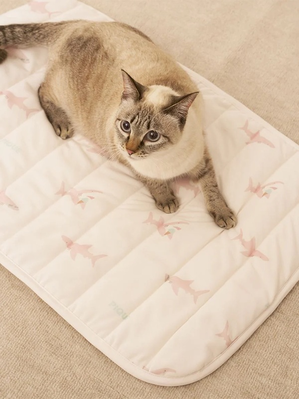 gelato pique（ジェラートピケ）【CAT&DOG】【販路限定商品】【接触冷感】SHARK柄COOLINGマット｜全2色