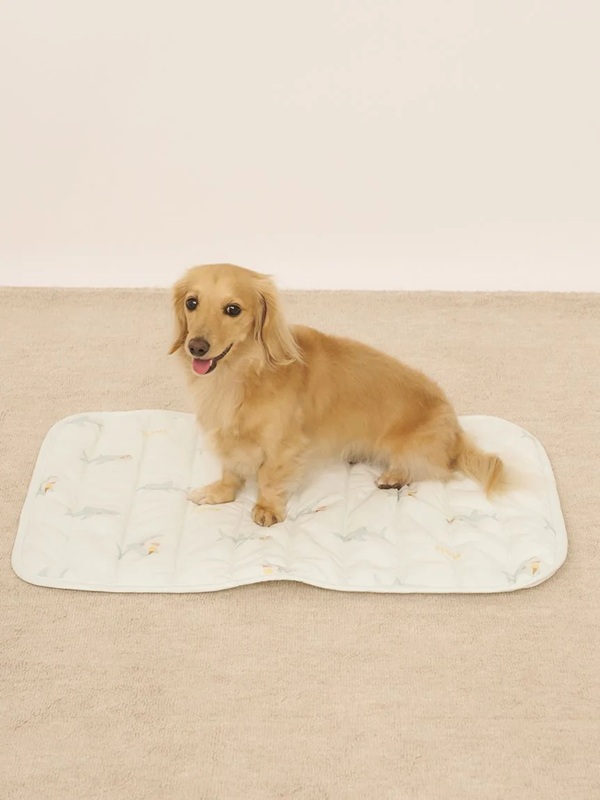 gelato pique（ジェラートピケ）【CAT&DOG】【販路限定商品】【接触冷感】SHARK柄COOLINGマット｜全2色