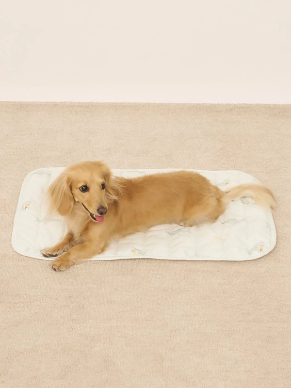 gelato pique（ジェラートピケ）【CAT&DOG】【販路限定商品】【接触冷感】SHARK柄COOLINGマット｜全2色