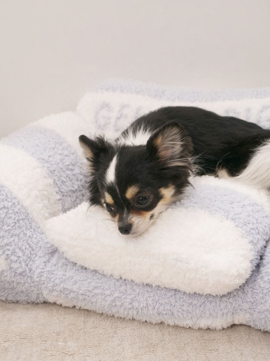 gelato pique(ジェラートピケ)ジェラートソファ型ベッド Mサイズ|全4色