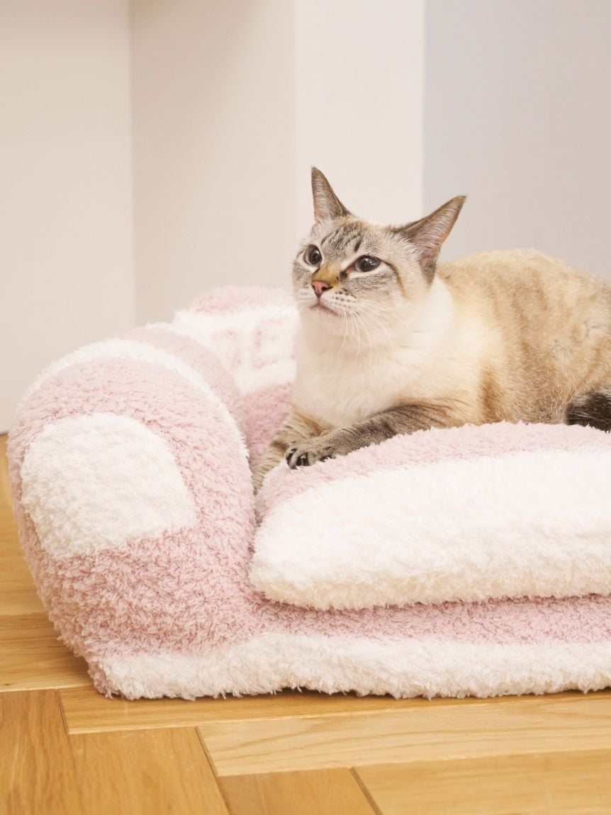 gelato pique(ジェラートピケ)ジェラートソファ型ベッド Mサイズ|全4色