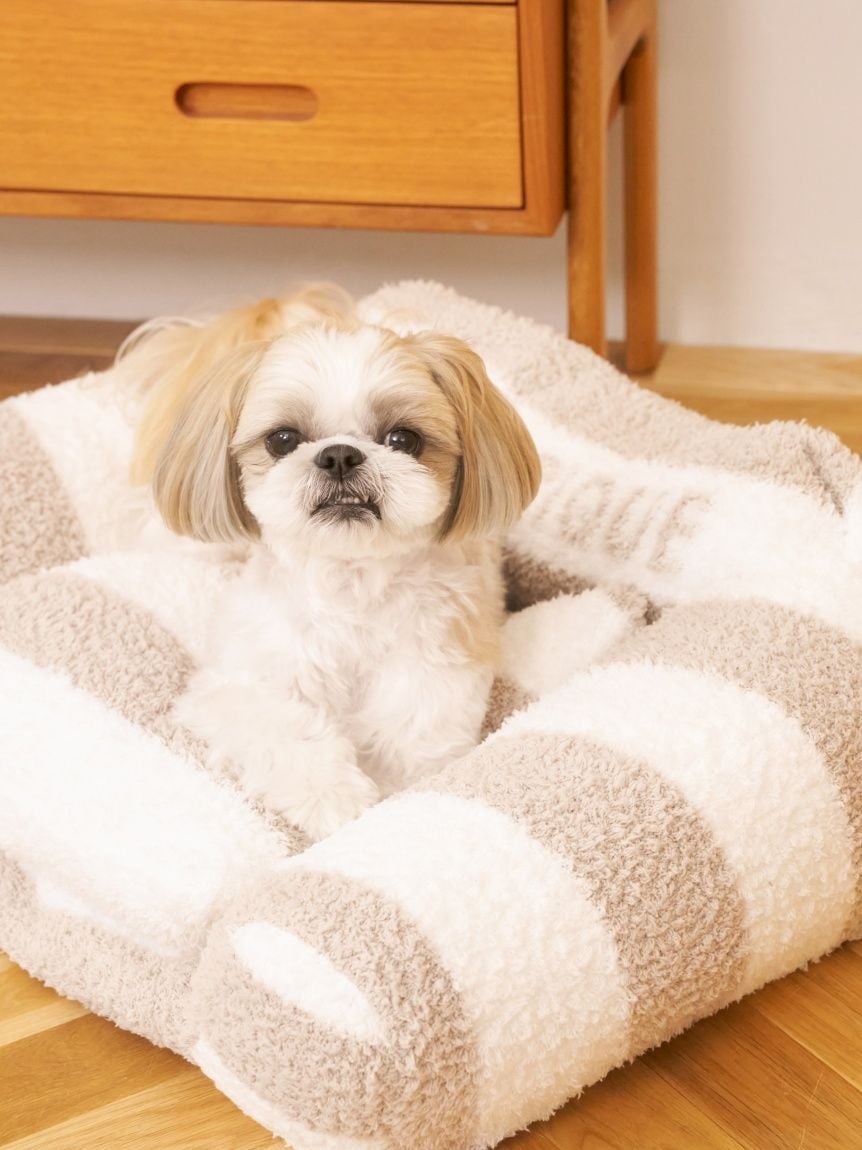 gelato pique(ジェラートピケ)ジェラートソファ型ベッド Lサイズ|全4色