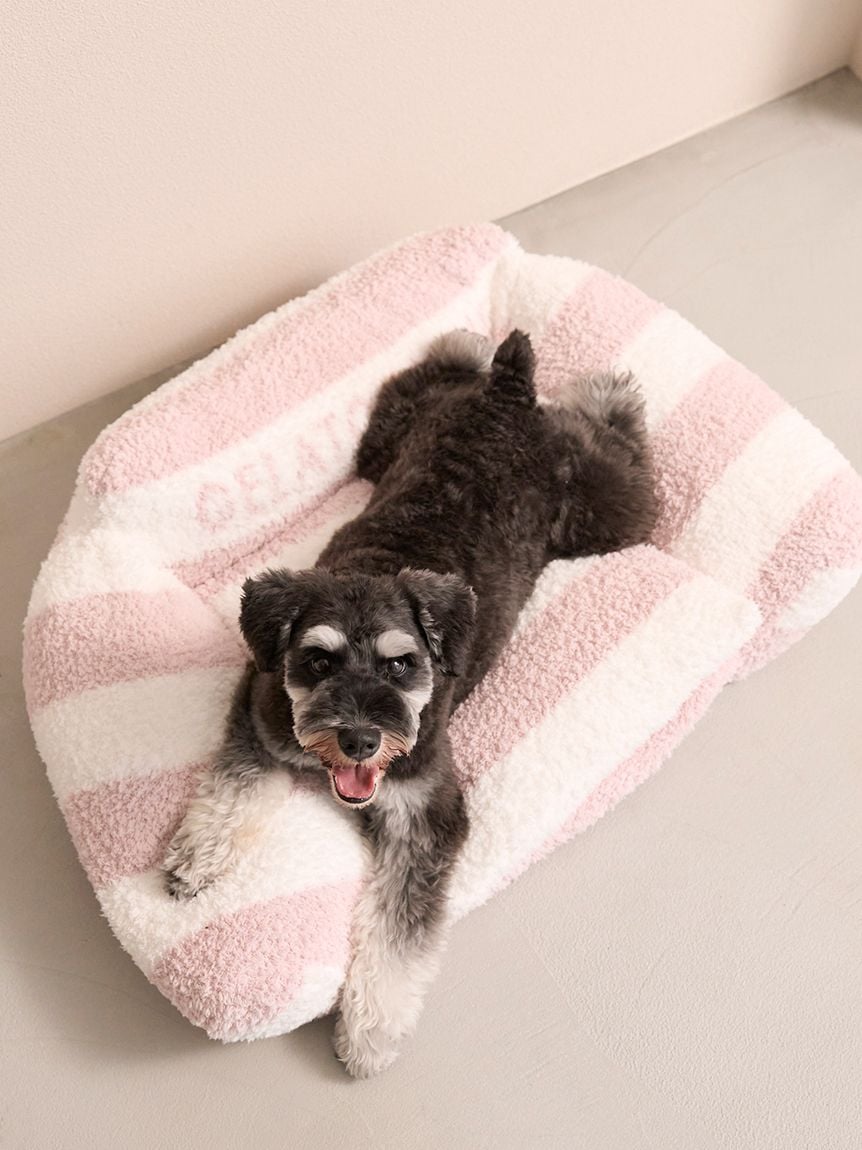 gelato pique(ジェラートピケ)ジェラートソファ型ベッド Lサイズ|全4色