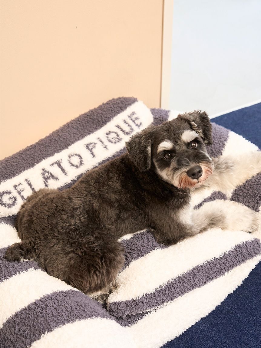 gelato pique（ジェラートピケ）ジェラートソファ型ベッド Lサイズ｜全4色