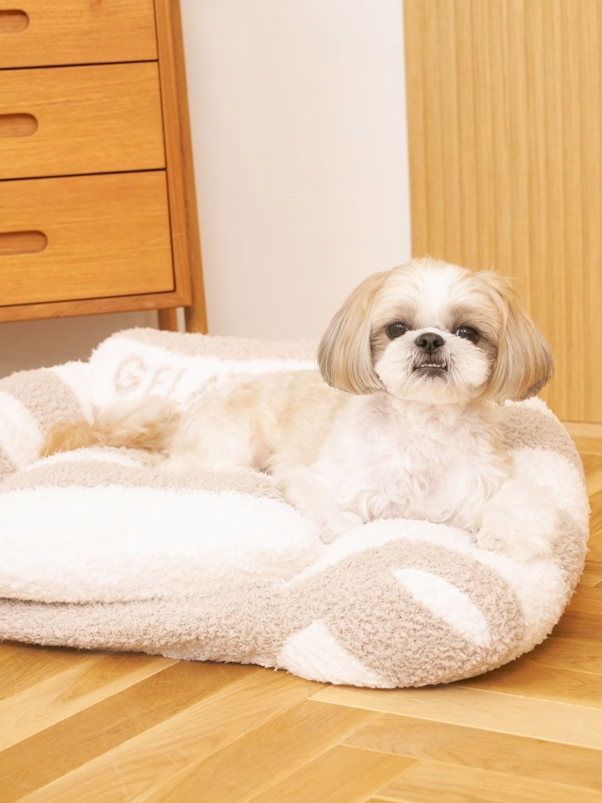 gelato pique(ジェラートピケ)ジェラートソファ型ベッド Lサイズ|全4色