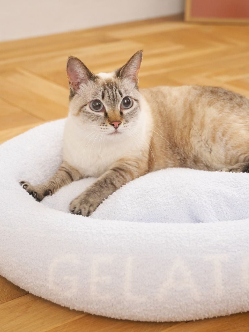 gelato pique(ジェラートピケ)ベビモコベッド Mサイズ|全3色