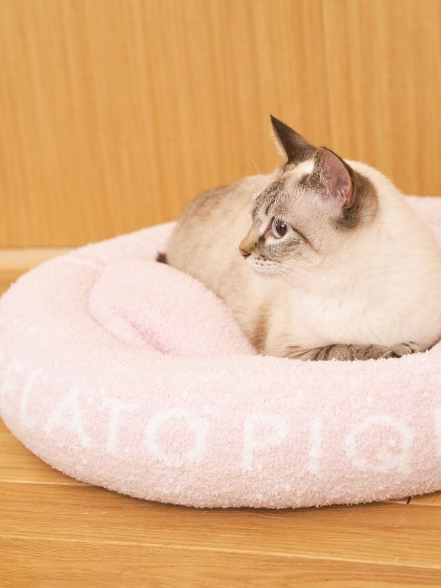 gelato pique(ジェラートピケ)ベビモコベッド Mサイズ|全3色