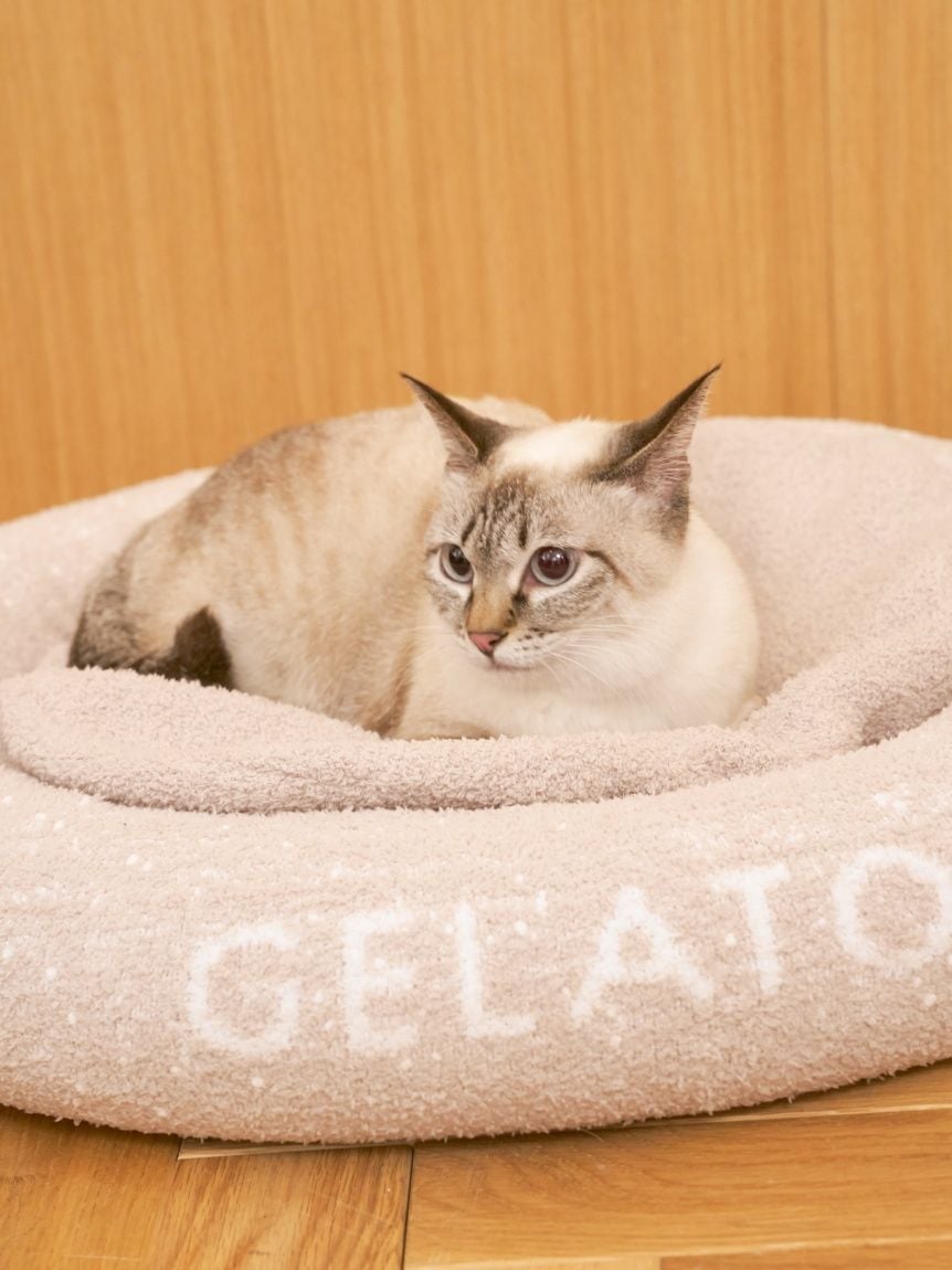 gelato pique（ジェラートピケ）ベビモコベッド Lサイズ｜全3色