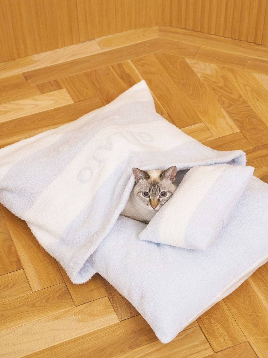 gelato pique(ジェラートピケ)ベビモコおふとんセット Lサイズ|全3色