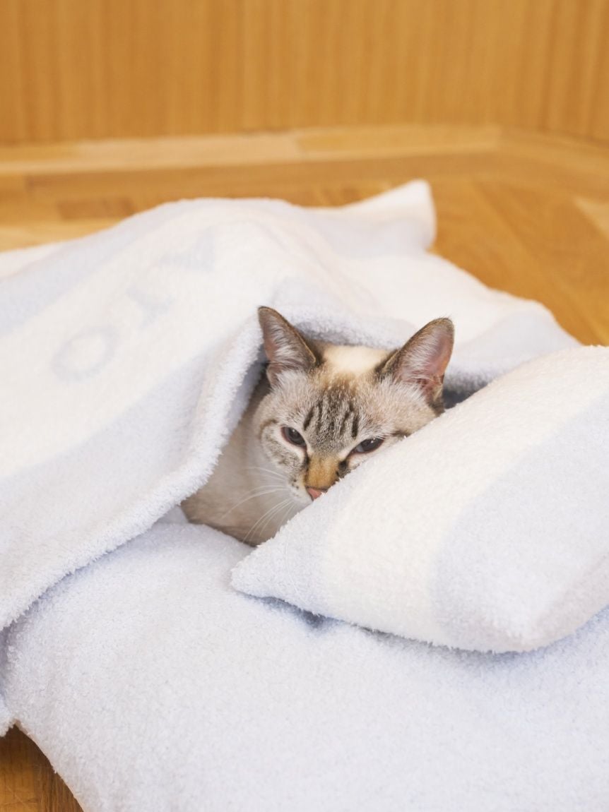 gelato pique(ジェラートピケ)ベビモコおふとんセット Lサイズ|全3色