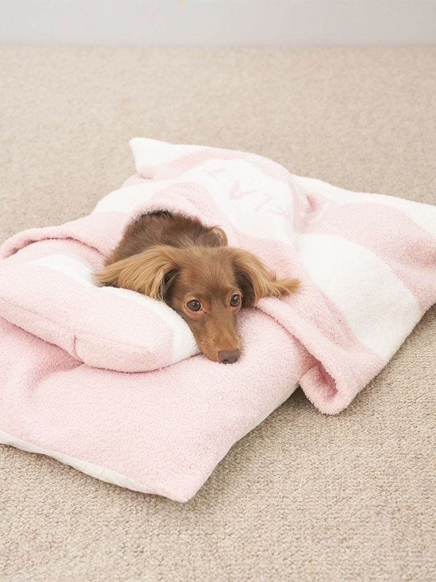 gelato pique(ジェラートピケ)ベビモコおふとんセット Lサイズ|全3色