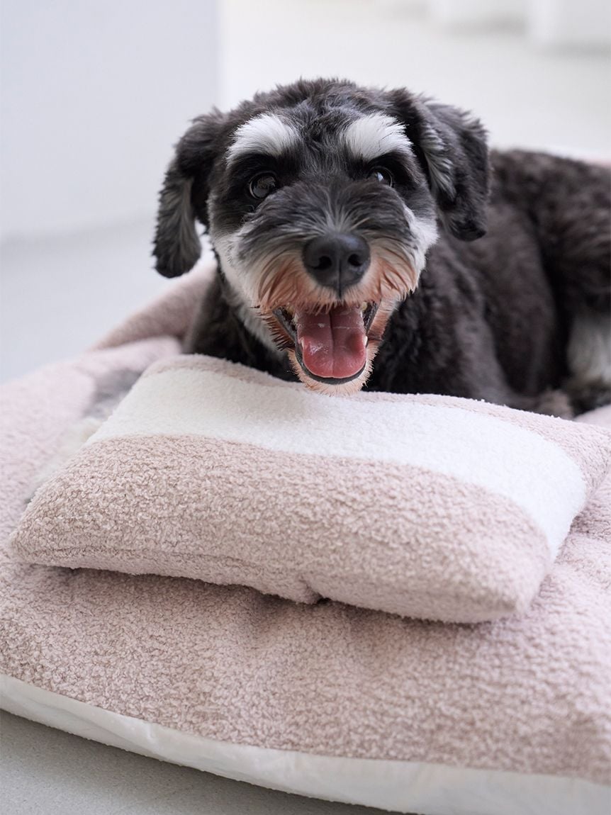 gelato pique(ジェラートピケ)ベビモコおふとんセット Lサイズ|全3色