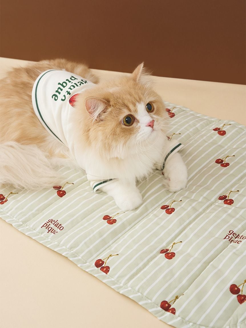 gelato pique（ジェラートピケ））【CAT&DOG】【販路限定商品】チェリー柄カフェマット｜全2色