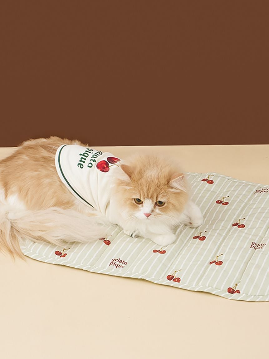 gelato pique（ジェラートピケ））【CAT&DOG】【販路限定商品】チェリー柄カフェマット｜全2色