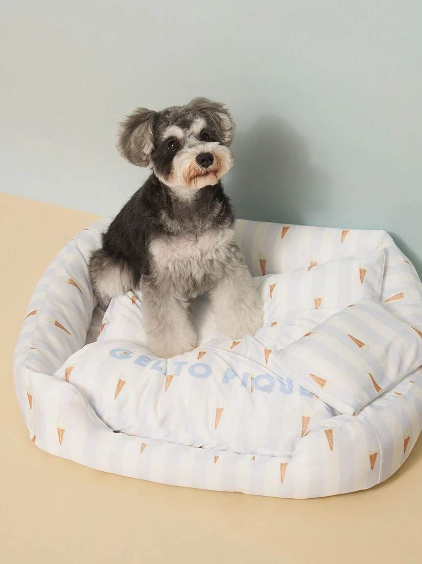 gelato pique（ジェラートピケ）【CAT&DOG】【接触冷感】Coolingベッド Mサイズ｜全2色