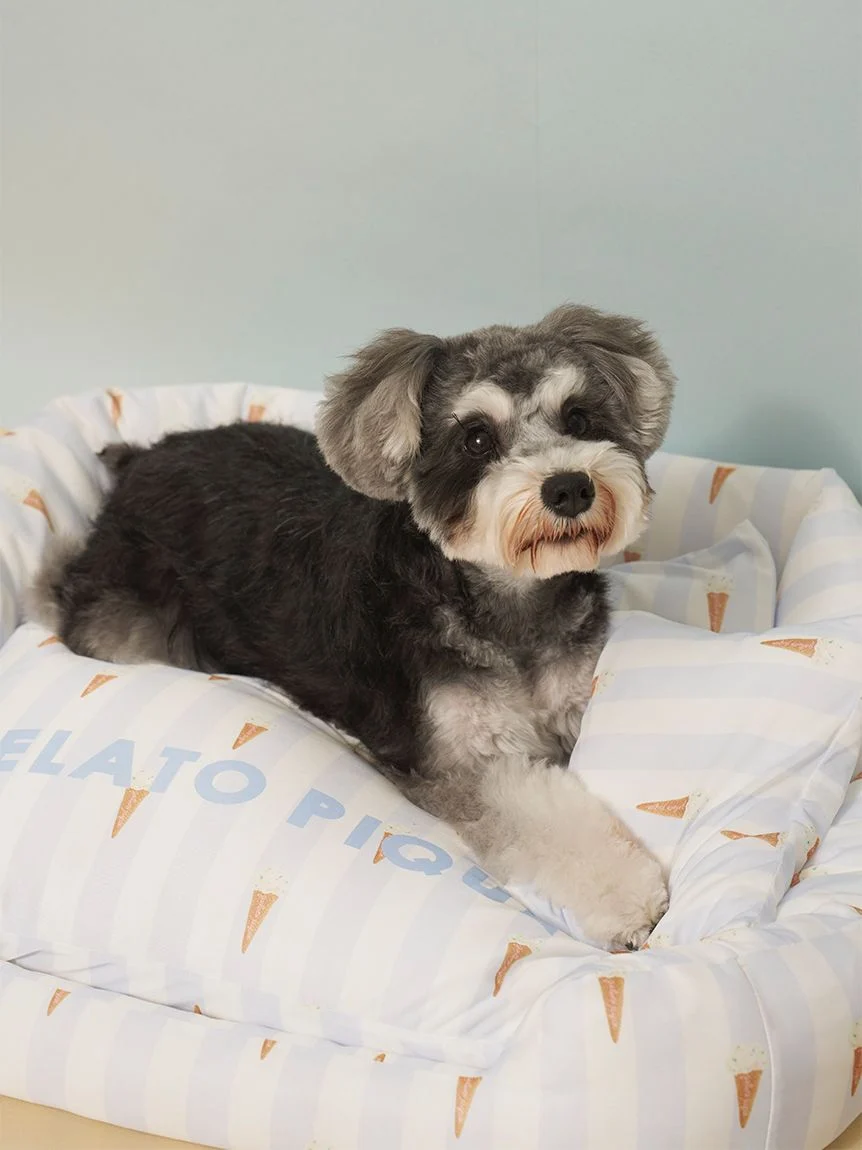 gelato pique（ジェラートピケ）【CAT&DOG】【接触冷感】Coolingベッド Sサイズ｜全2色