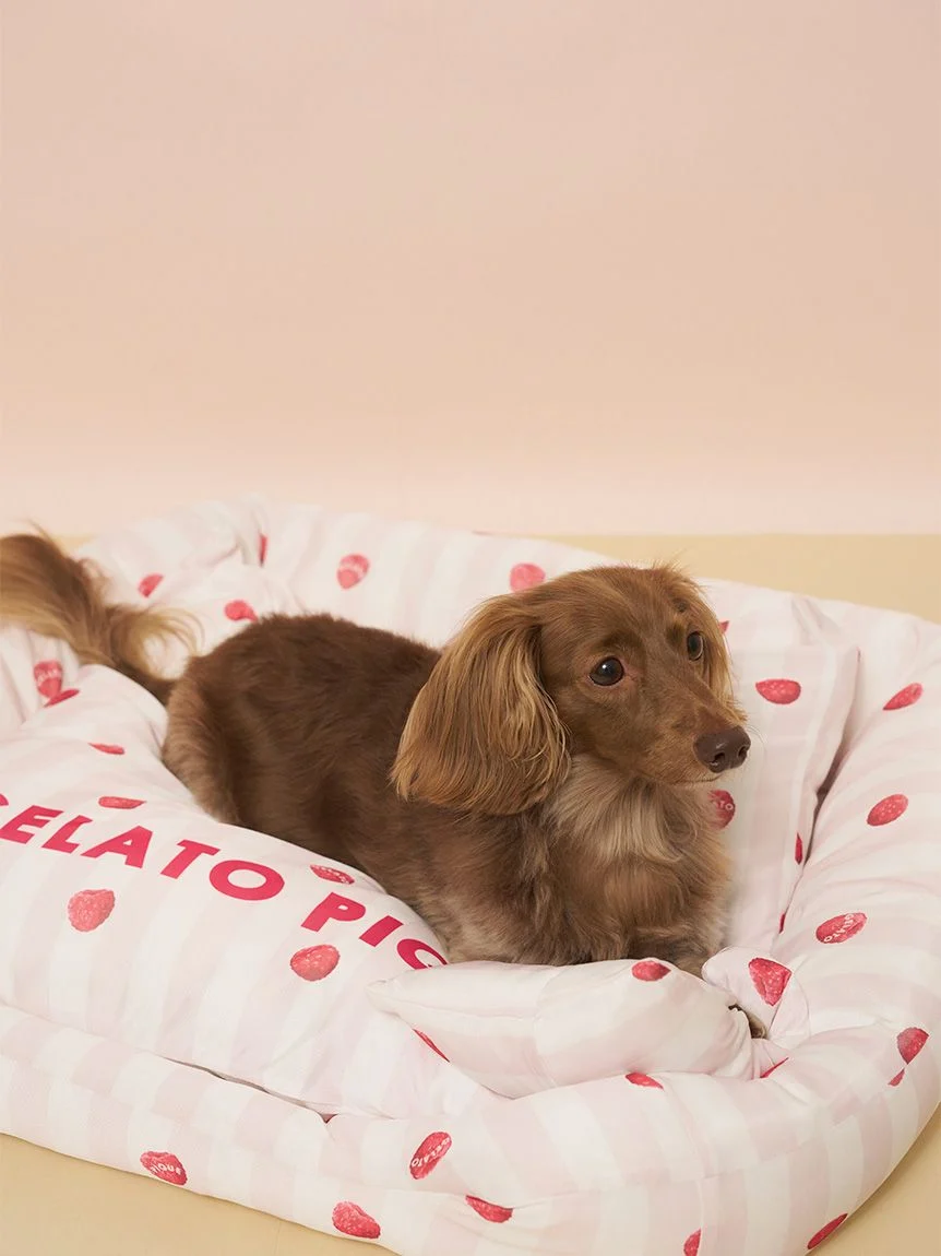 gelato pique（ジェラートピケ）【CAT&DOG】【接触冷感】Coolingベッド Sサイズ｜全2色