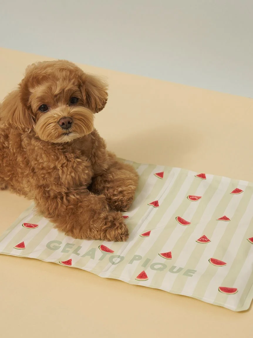 gelato pique（ジェラートピケ）【CAT&DOG】サマーモチーフ柄Coolingジェルマット｜全2色