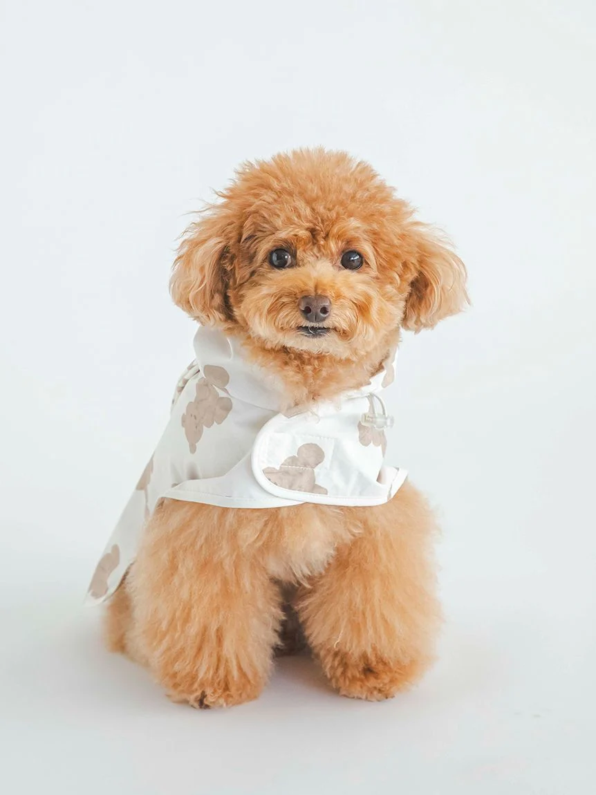 gelato pique（ジェラートピケ）【CAT&DOG】【販路限定商品】レインポンチョ