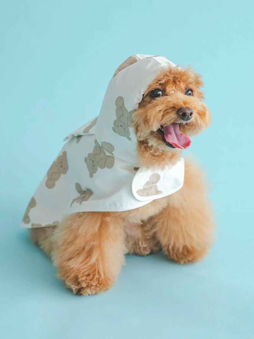 gelato pique（ジェラートピケ）【CAT&DOG】【販路限定商品】レインポンチョ