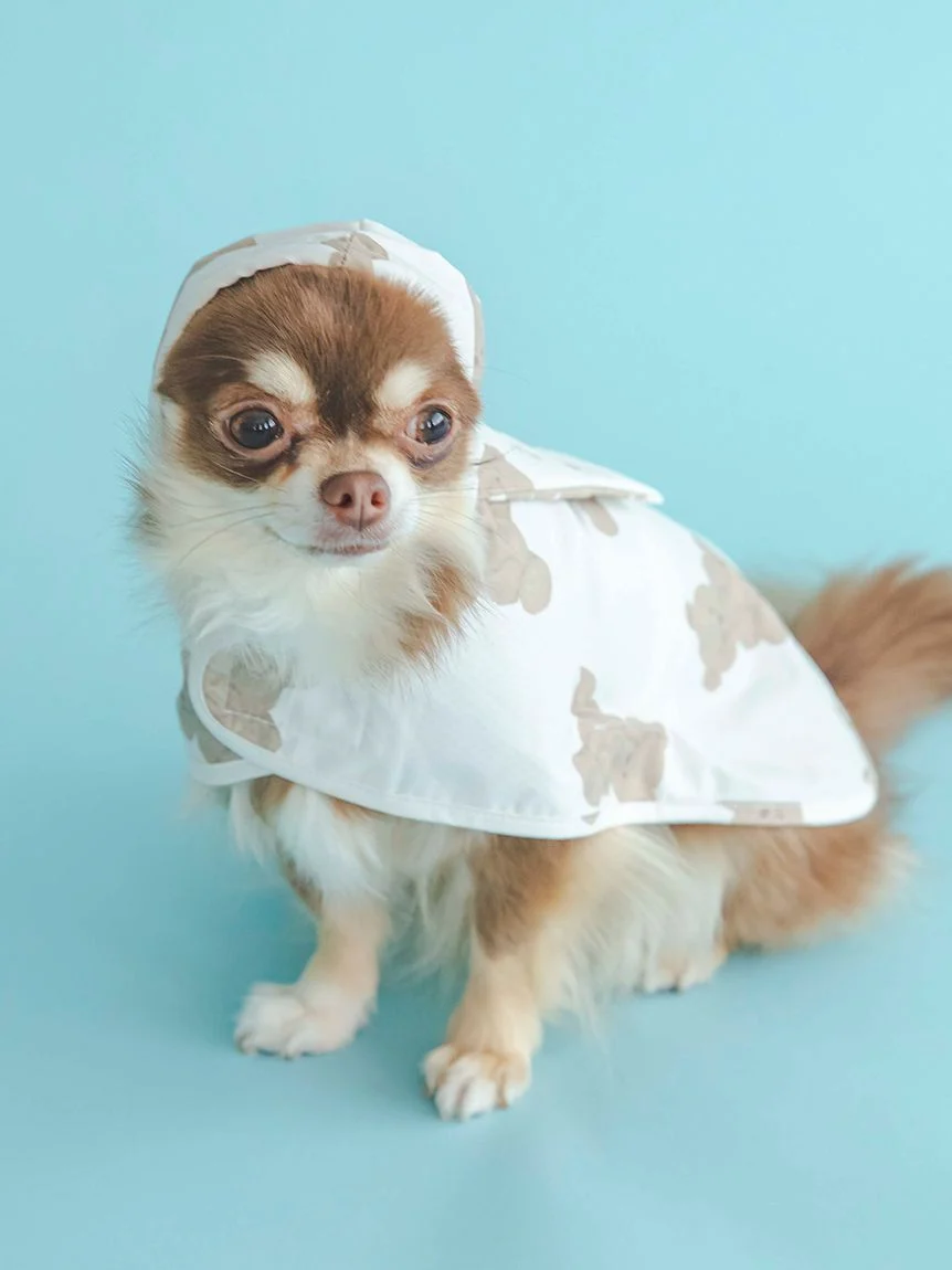 gelato pique（ジェラートピケ）【CAT&DOG】【販路限定商品】レインポンチョ