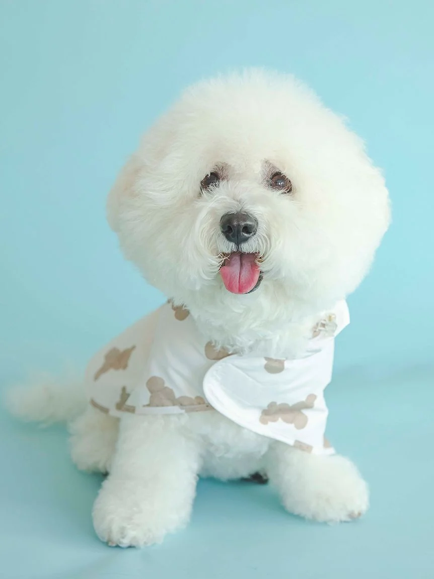 gelato pique（ジェラートピケ）【CAT&DOG】【販路限定商品】レインポンチョ