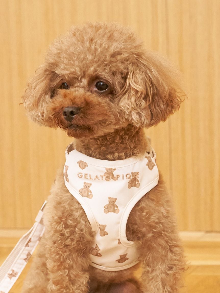 gelato pique（ジェラートピケ）【CAT&DOG】【販路限定商品】 モチーフ柄背中あきハーネス