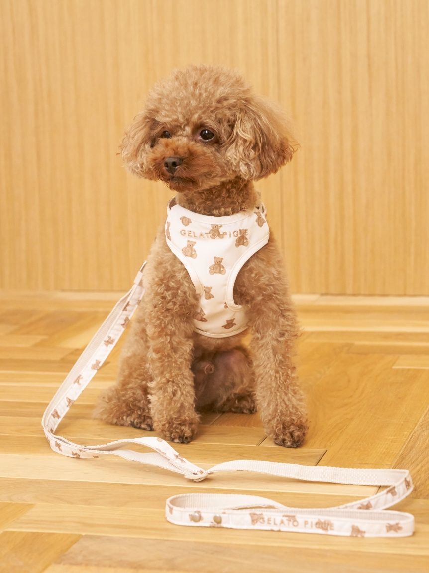 gelato pique（ジェラートピケ）【CAT&DOG】【販路限定商品】 モチーフ柄背中あきハーネス