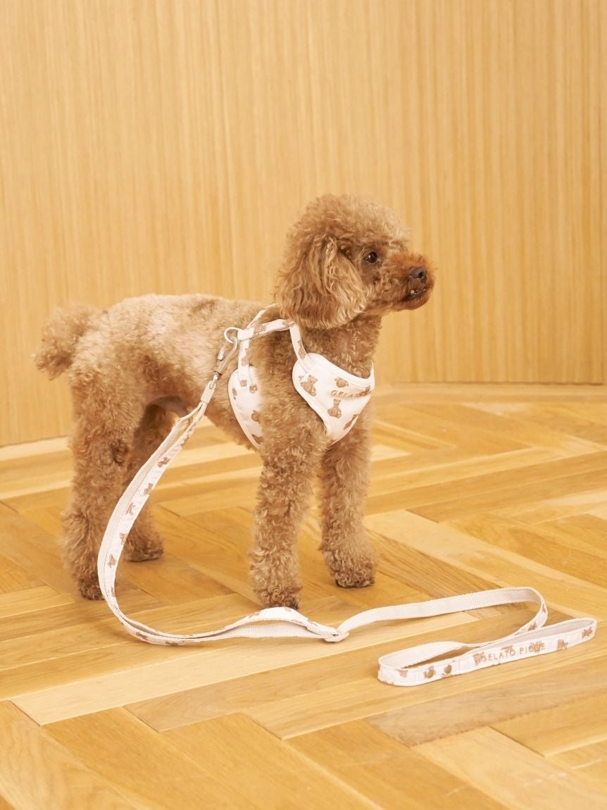 gelato pique（ジェラートピケ）【CAT&DOG】【販路限定商品】 モチーフ柄背中あきハーネス