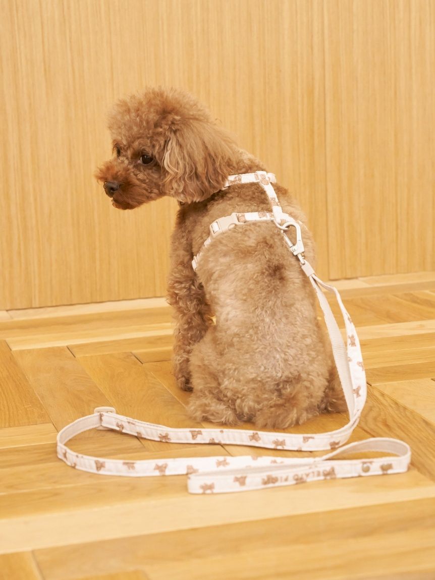 gelato pique（ジェラートピケ） 【CAT&DOG】【販路限定商品】モチーフ柄リード