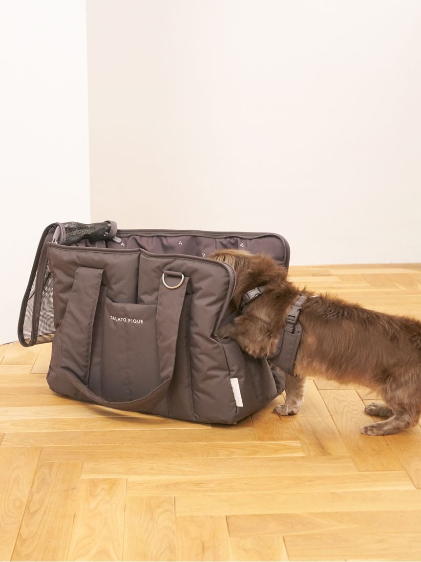 gelato pique（ジェラートピケ）【CAT&DOG】【販路限定商品】 背中あきハーネス