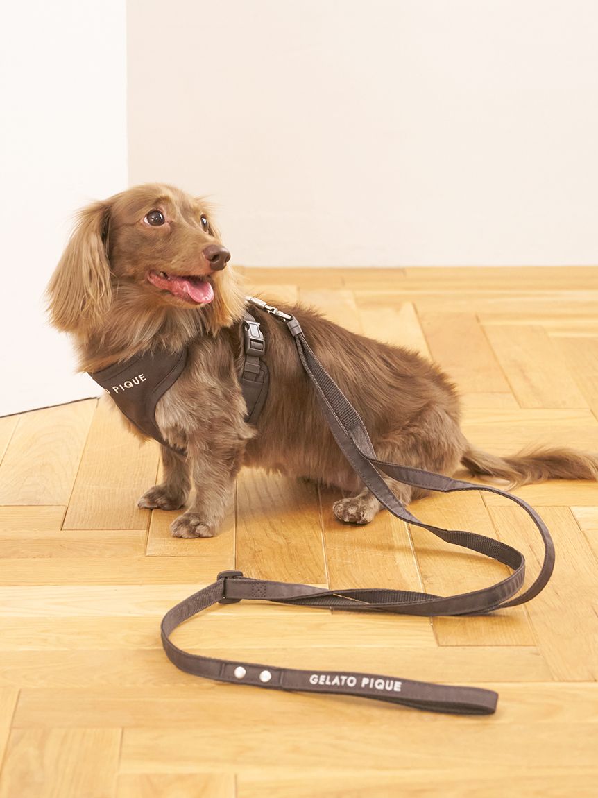 gelato pique（ジェラートピケ）【CAT&DOG】【販路限定商品】リード