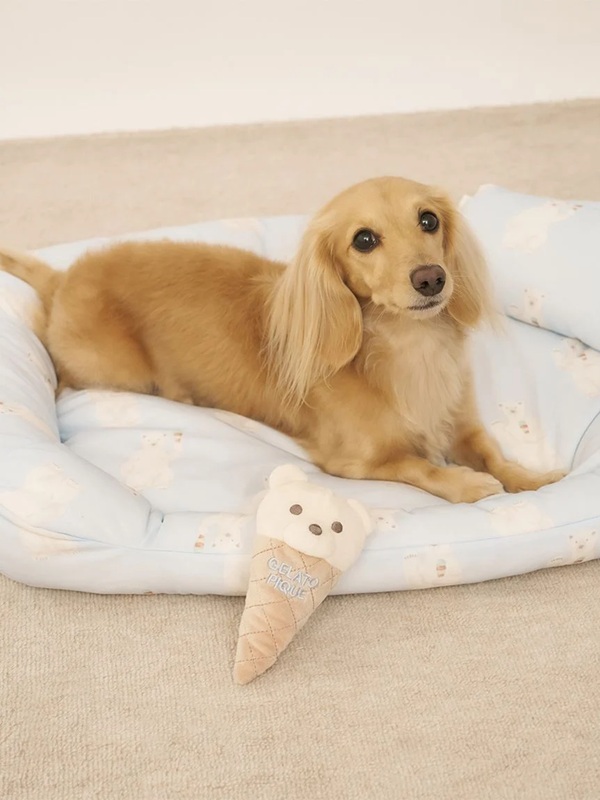 gelato pique（ジェラートピケ）【CAT&DOG】【販路限定商品】ベアアイストイ