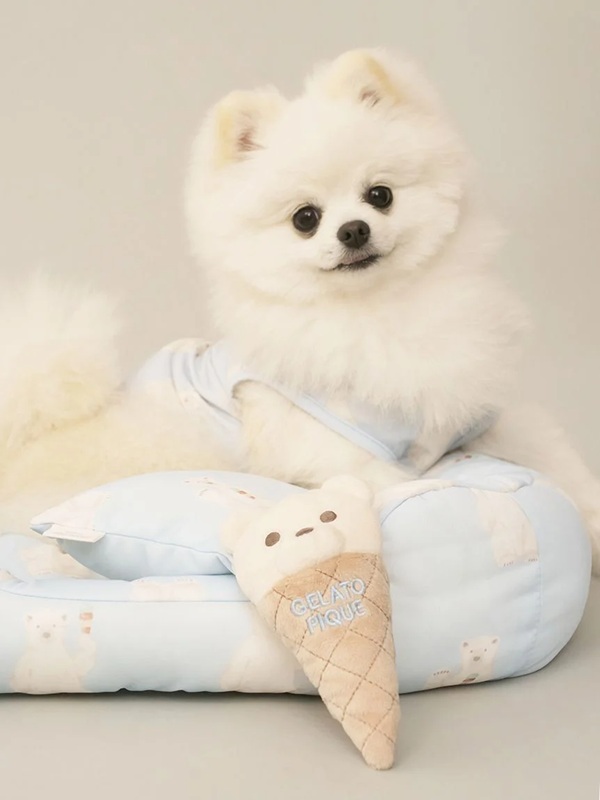 gelato pique（ジェラートピケ）【CAT&DOG】【販路限定商品】ベアアイストイ